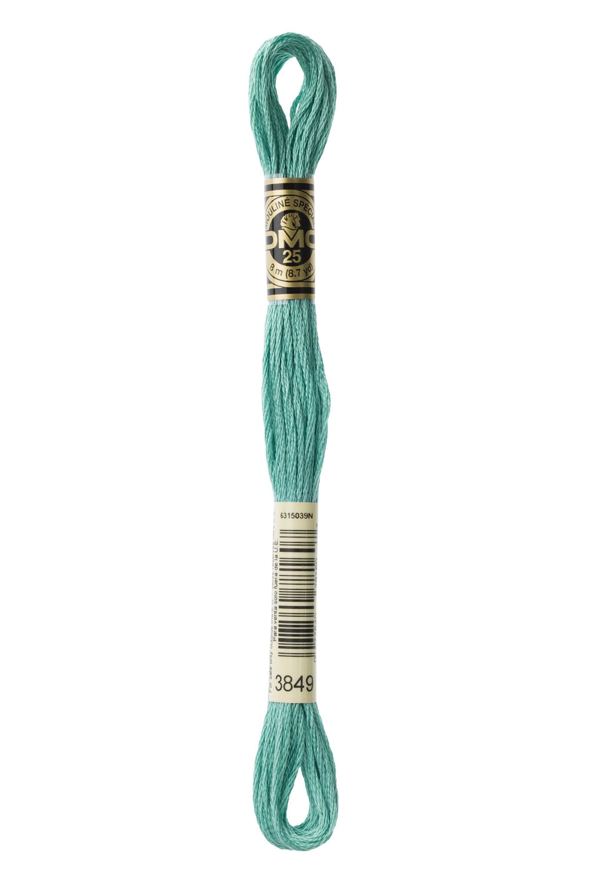 Zoom 3849