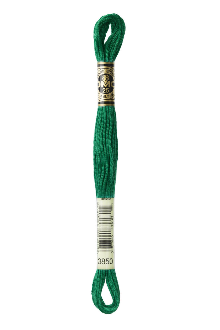 Mouliné Spécial 117MC VERDE - DMC - - LacariaRicami.Store