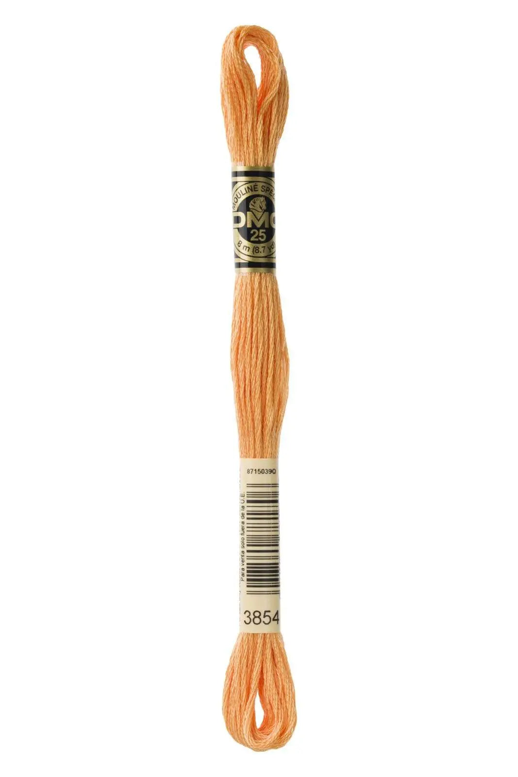 Mouliné Spécial 117MC ARANCIONE - DMC - - LacariaRicami.Store