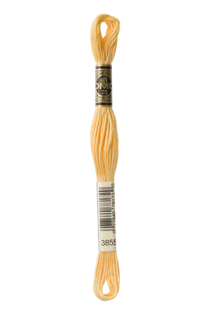 Mouliné Spécial 117MC GIALLO - DMC - - LacariaRicami.Store