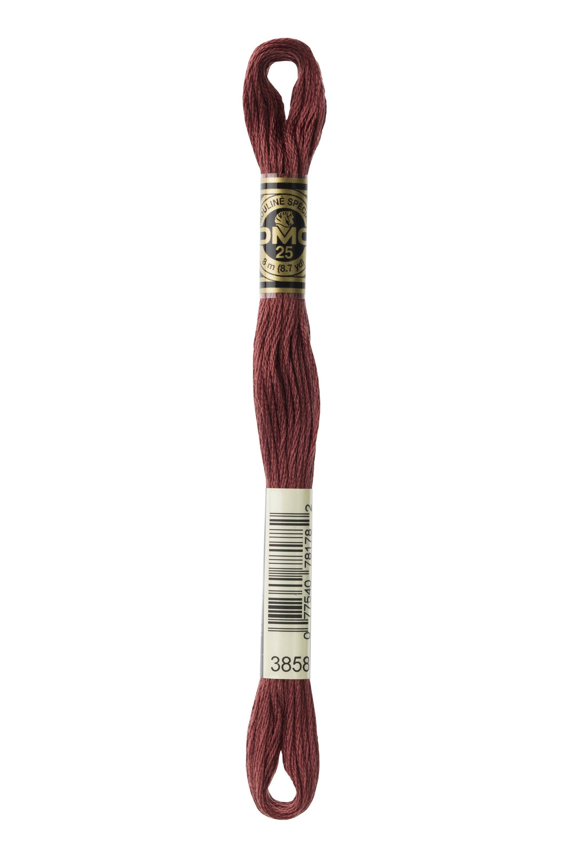 Zoom 3858