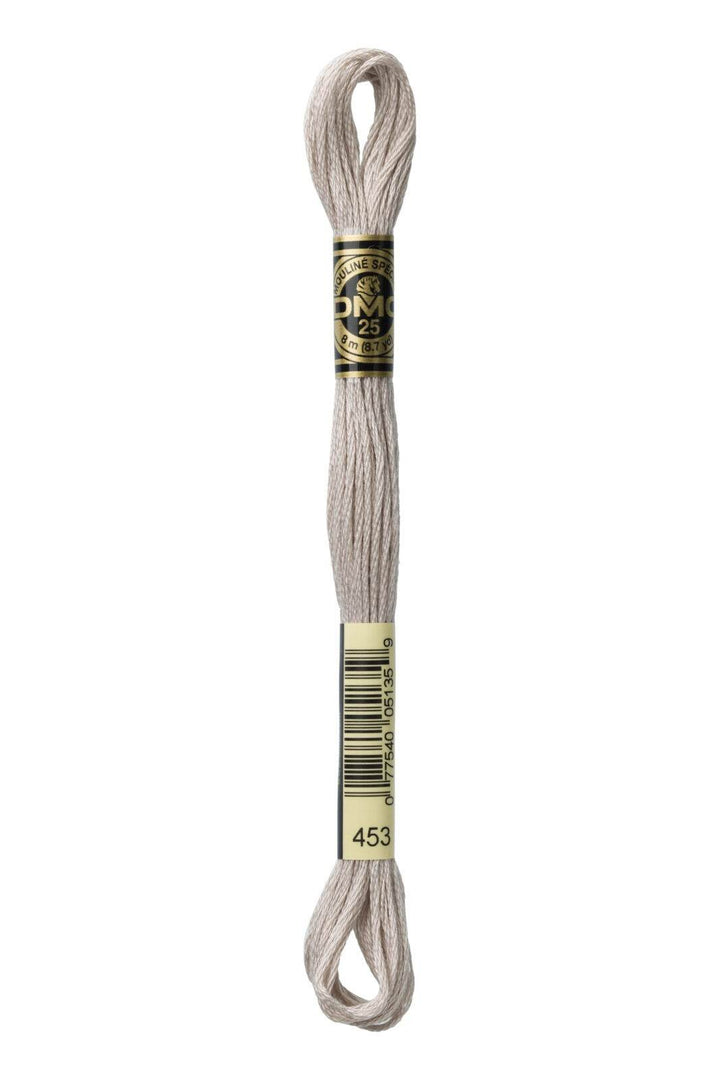 Mouliné Spécial 117MC VIOLA - DMC - - LacariaRicami.Store