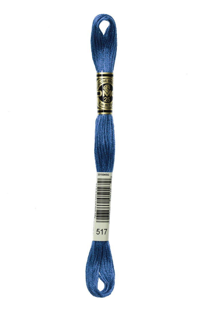 Mouliné Spécial 117MC BLU - DMC - - LacariaRicami.Store