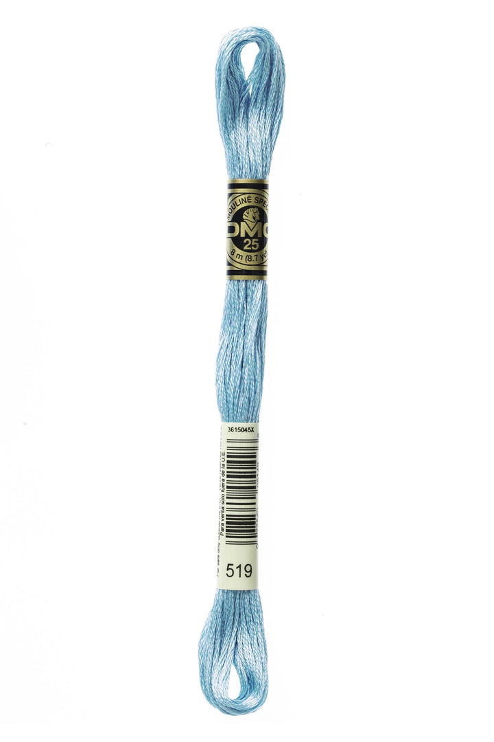 Mouliné Spécial 117MC BLU - DMC - - LacariaRicami.Store