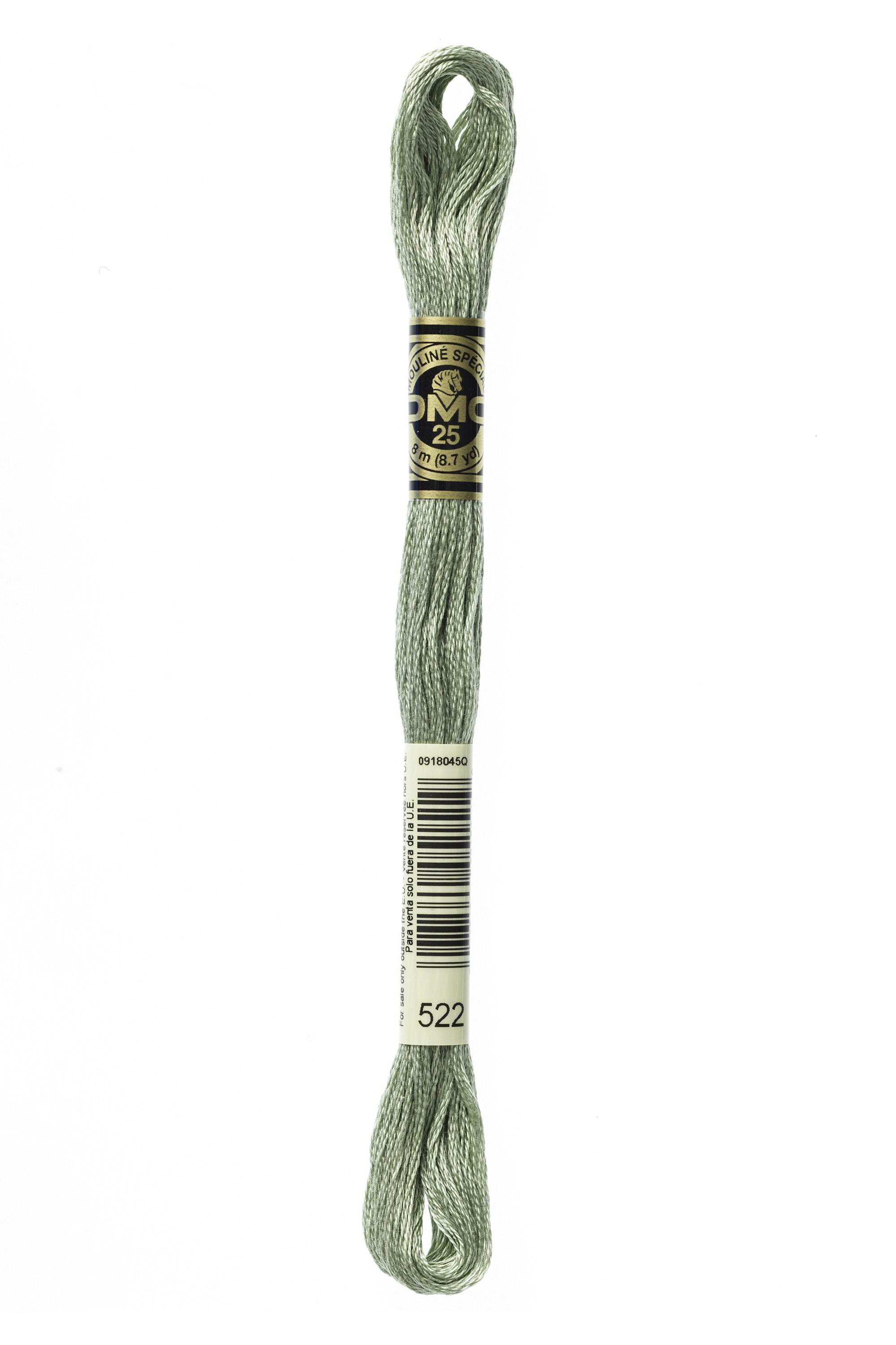 Zoom 522