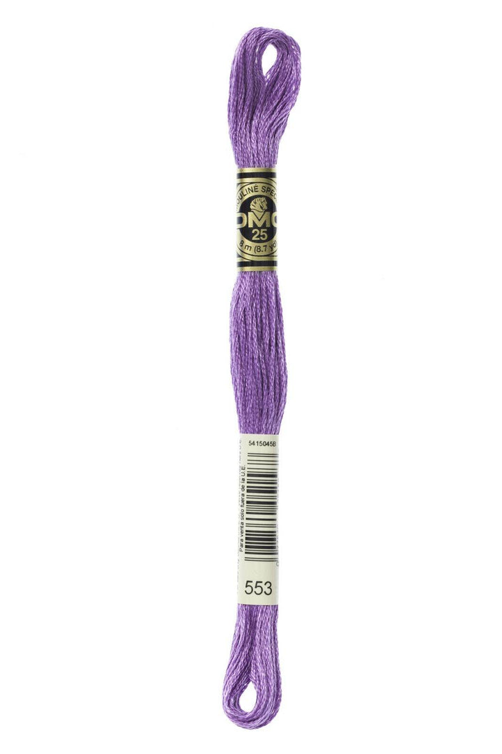 Mouliné Spécial 117MC VIOLA - DMC - - LacariaRicami.Store