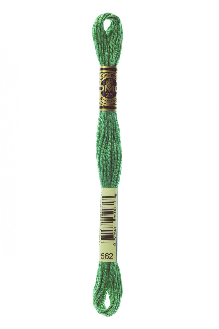 Mouliné Spécial 117MC VERDE - DMC - - LacariaRicami.Store