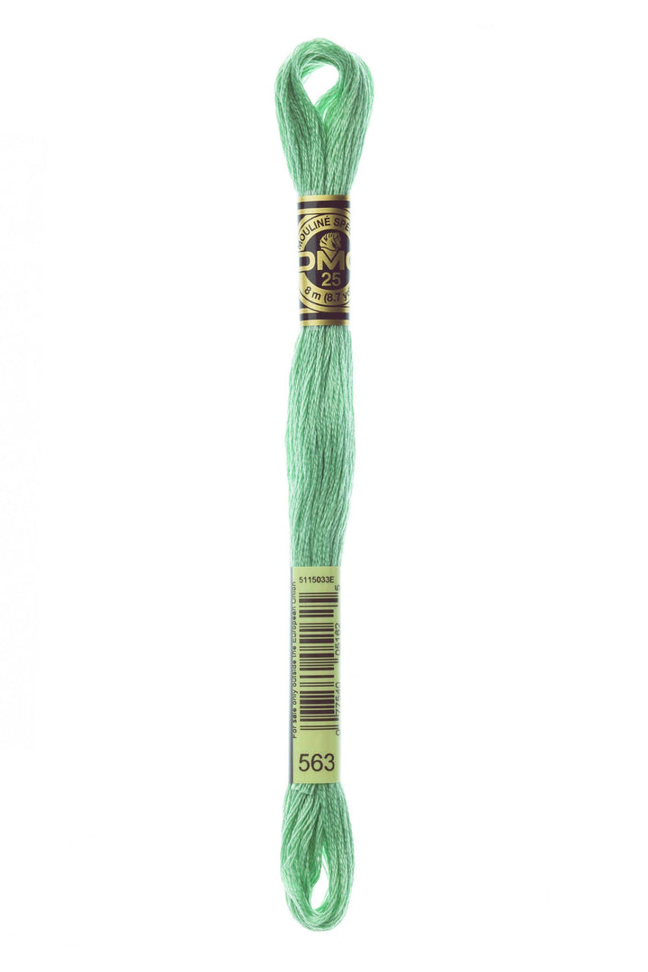 Mouliné Spécial 117MC VERDE - DMC - - LacariaRicami.Store