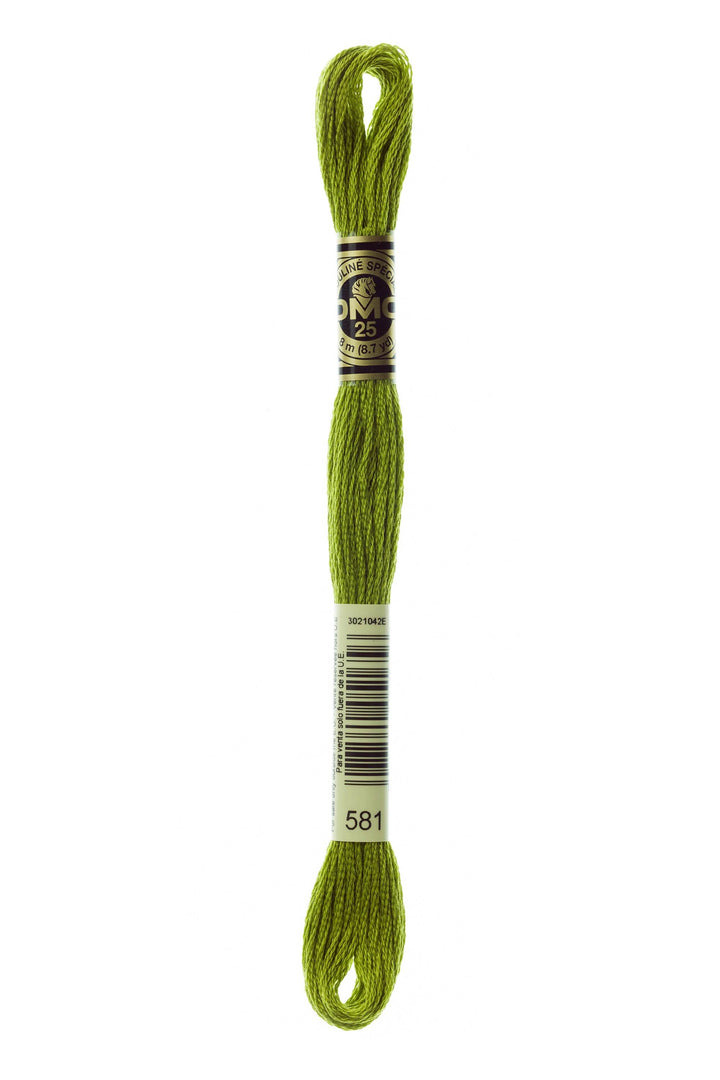 Mouliné Spécial 117MC - VERDE CHIARO - DMC - - LacariaRicami.Store