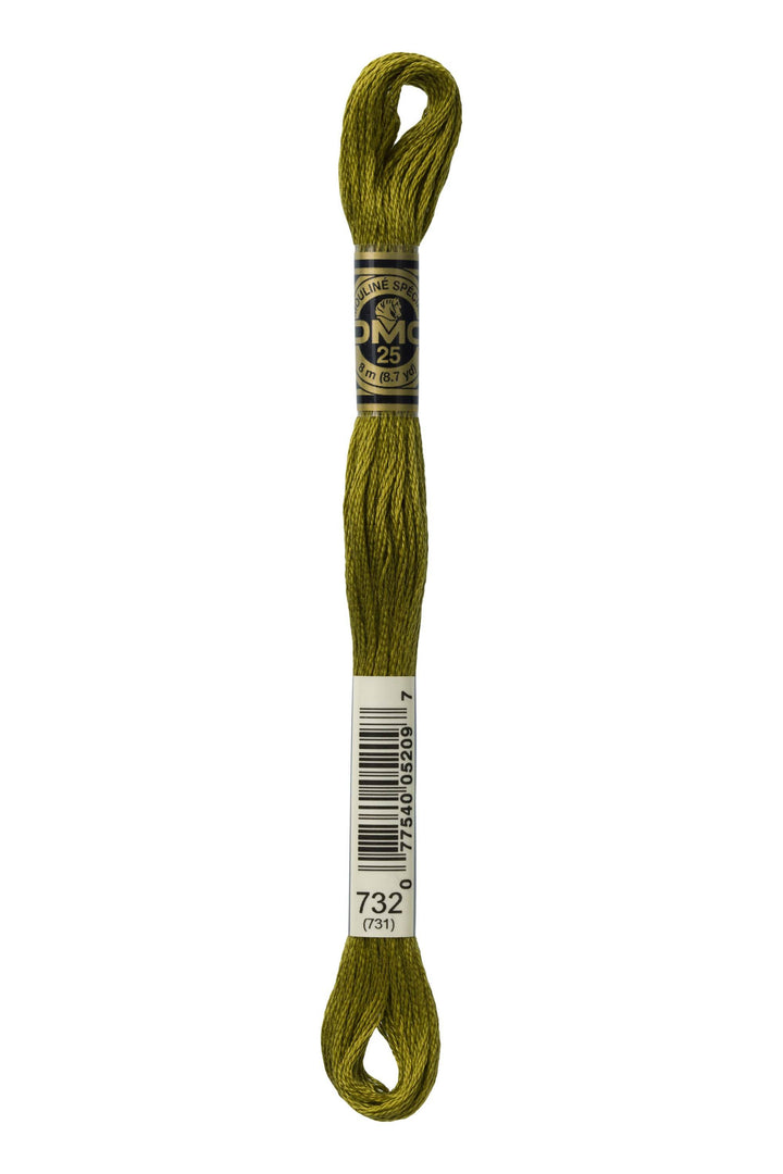 Mouliné Spécial 117MC - VERDE CHIARO - DMC - - LacariaRicami.Store