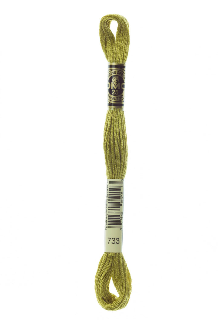 Mouliné Spécial 117MC - VERDE CHIARO - DMC - - LacariaRicami.Store