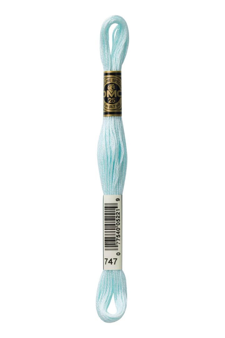 Mouliné Spécial 117MC BLU - DMC - - LacariaRicami.Store