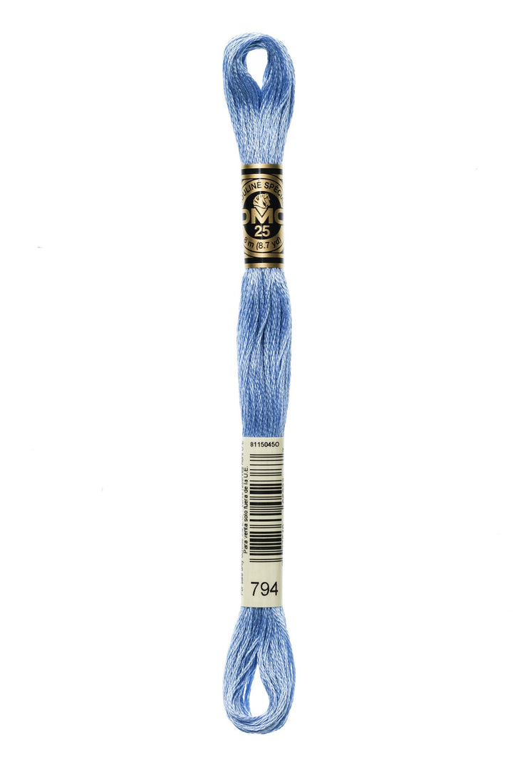 Mouliné Spécial 117MC BLU - DMC - - LacariaRicami.Store