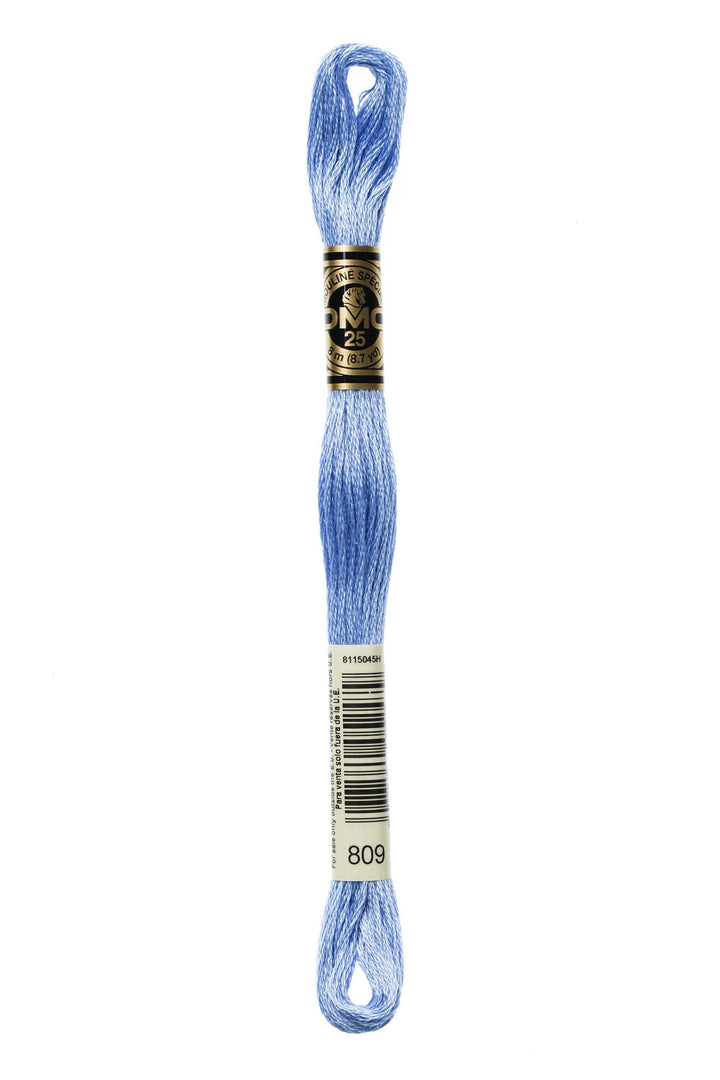 Mouliné Spécial 117MC BLU - DMC - - LacariaRicami.Store