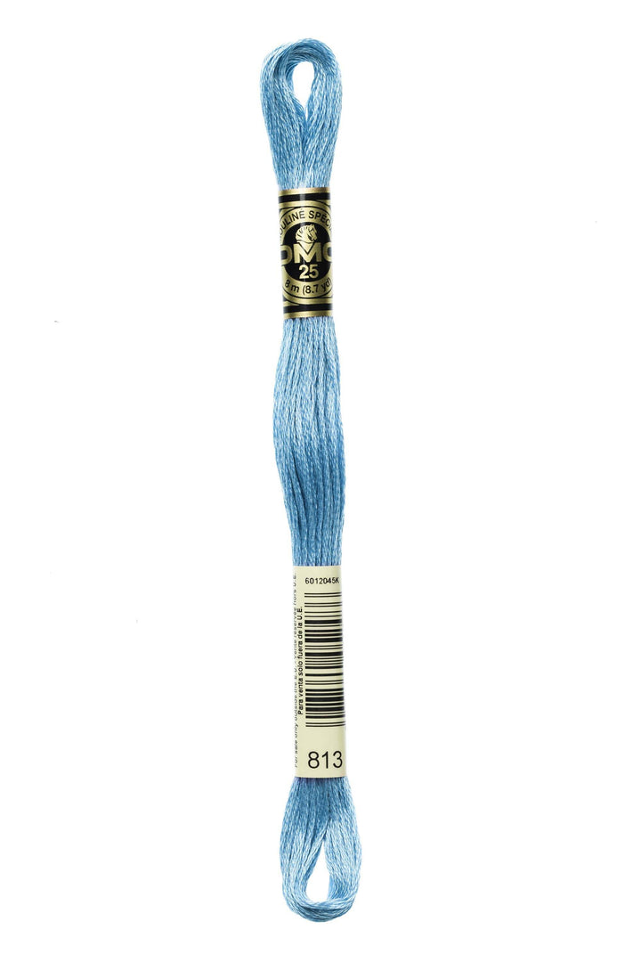 Mouliné Spécial 117MC BLU - DMC - - LacariaRicami.Store