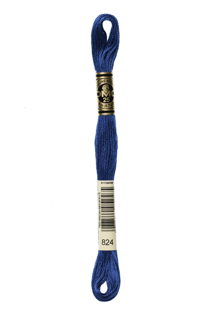 Mouliné Spécial 117MC BLU - DMC - - LacariaRicami.Store