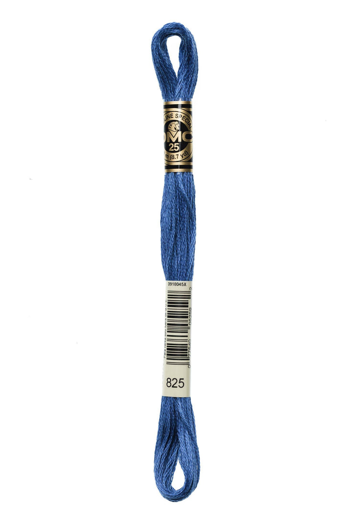 Mouliné Spécial 117MC BLU - DMC - - LacariaRicami.Store