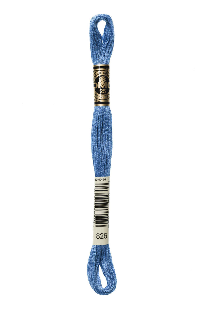 Mouliné Spécial 117MC BLU - DMC - - LacariaRicami.Store