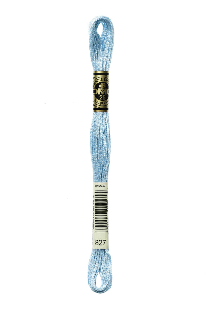 Mouliné Spécial 117MC BLU - DMC - - LacariaRicami.Store