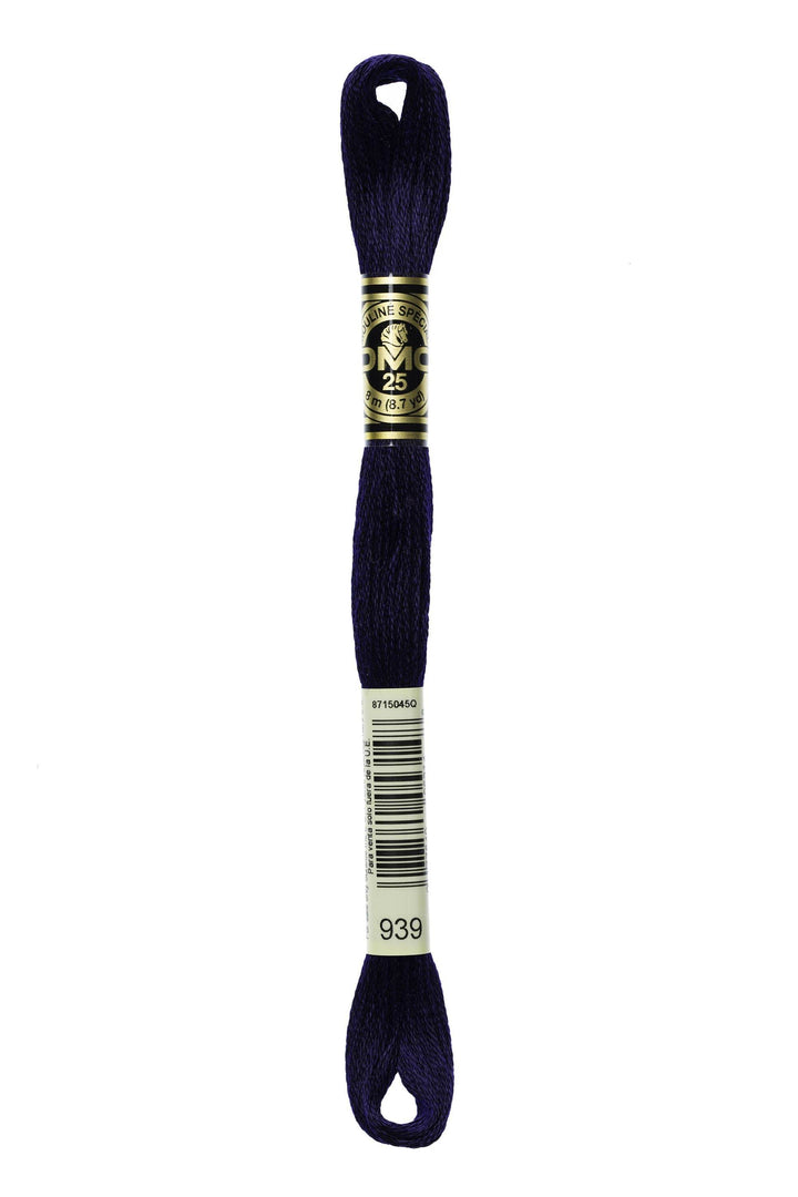 Mouliné Spécial 117MC BLU - DMC - - LacariaRicami.Store