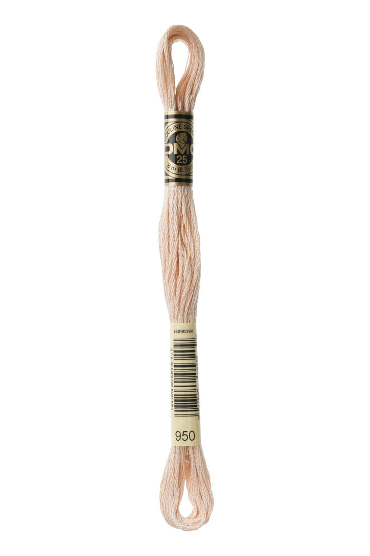 Mouliné Spécial 117MC CHIARI - DMC - - LacariaRicami.Store