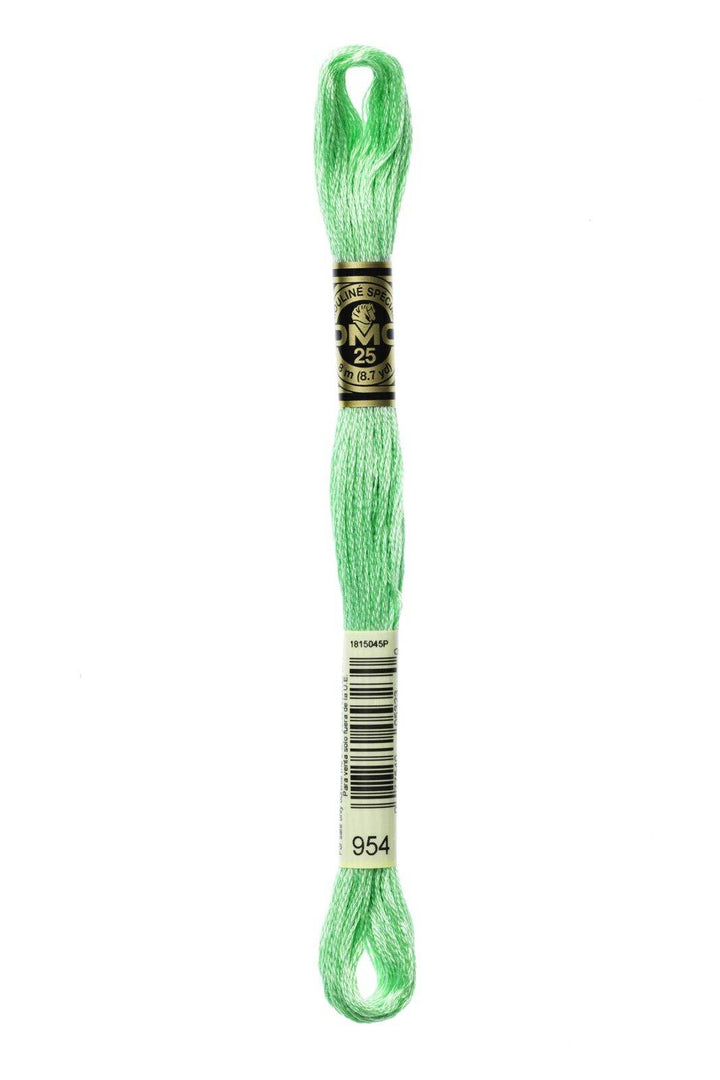 Mouliné Spécial 117MC VERDE - DMC - - LacariaRicami.Store