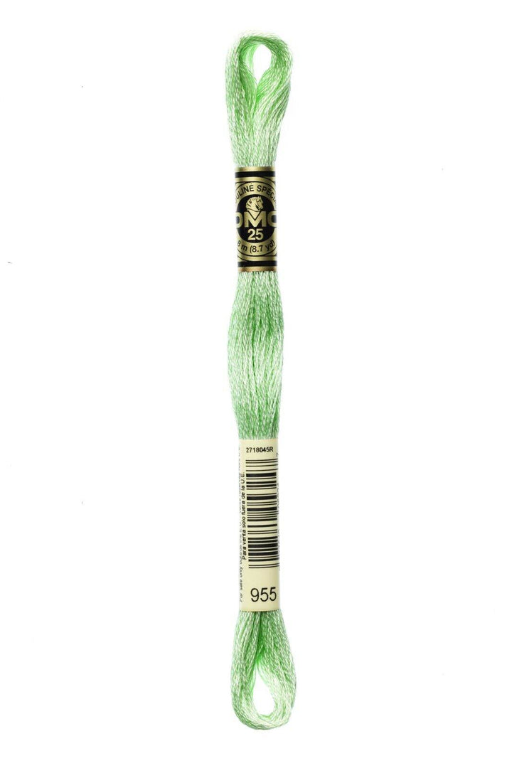 Mouliné Spécial 117MC VERDE - DMC - - LacariaRicami.Store