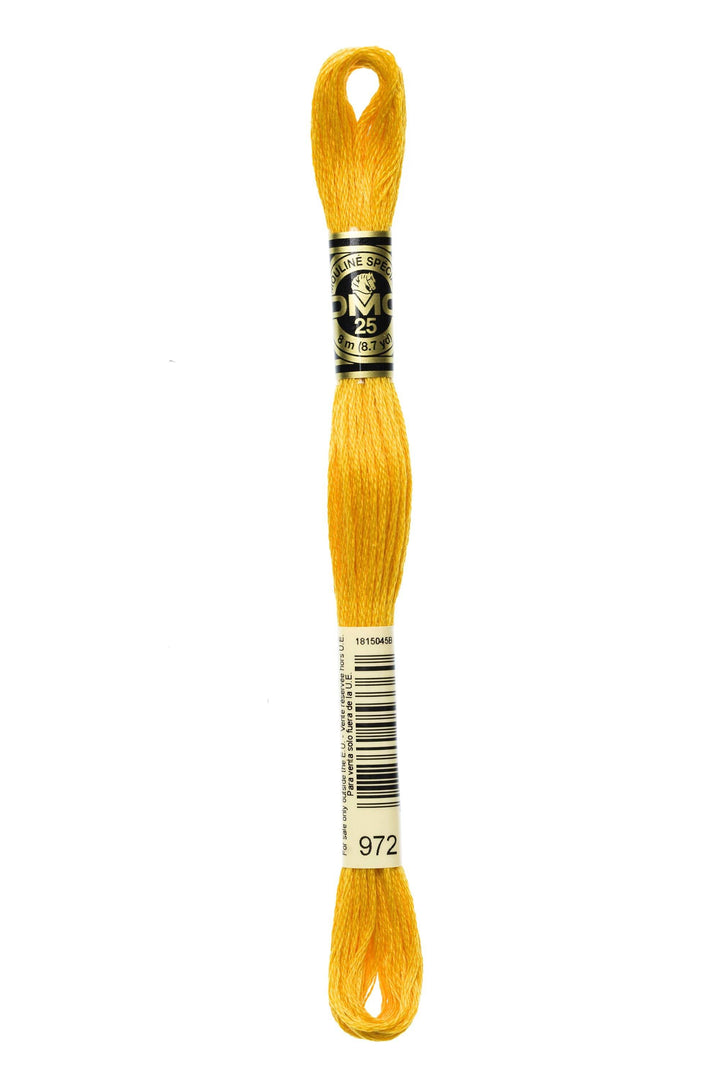 Mouliné Spécial 117MC GIALLO - DMC - - LacariaRicami.Store