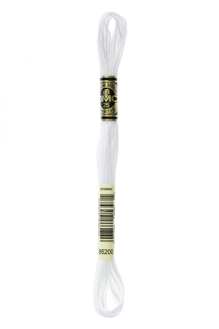 Mouliné Spécial 117MC CHIARI - DMC - - LacariaRicami.Store