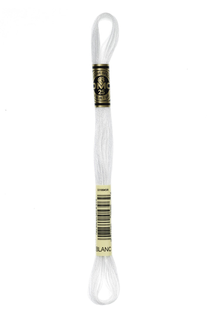 Mouliné Spécial 117MC CHIARI - DMC - - LacariaRicami.Store