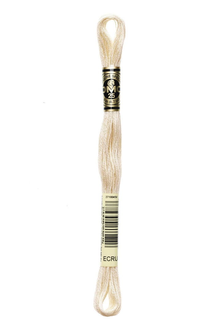 Mouliné Spécial 117MC CHIARI - DMC - - LacariaRicami.Store