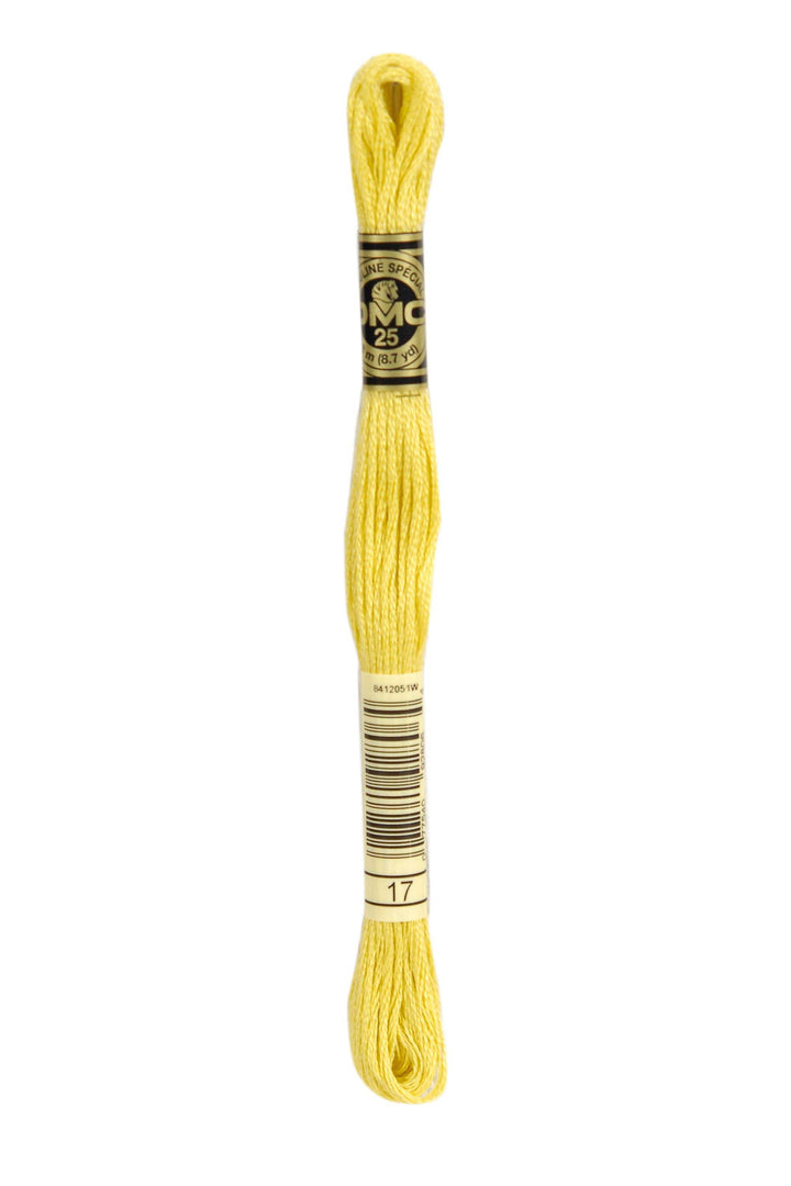 Mouliné Spécial 117MC GIALLO - DMC - - LacariaRicami.Store