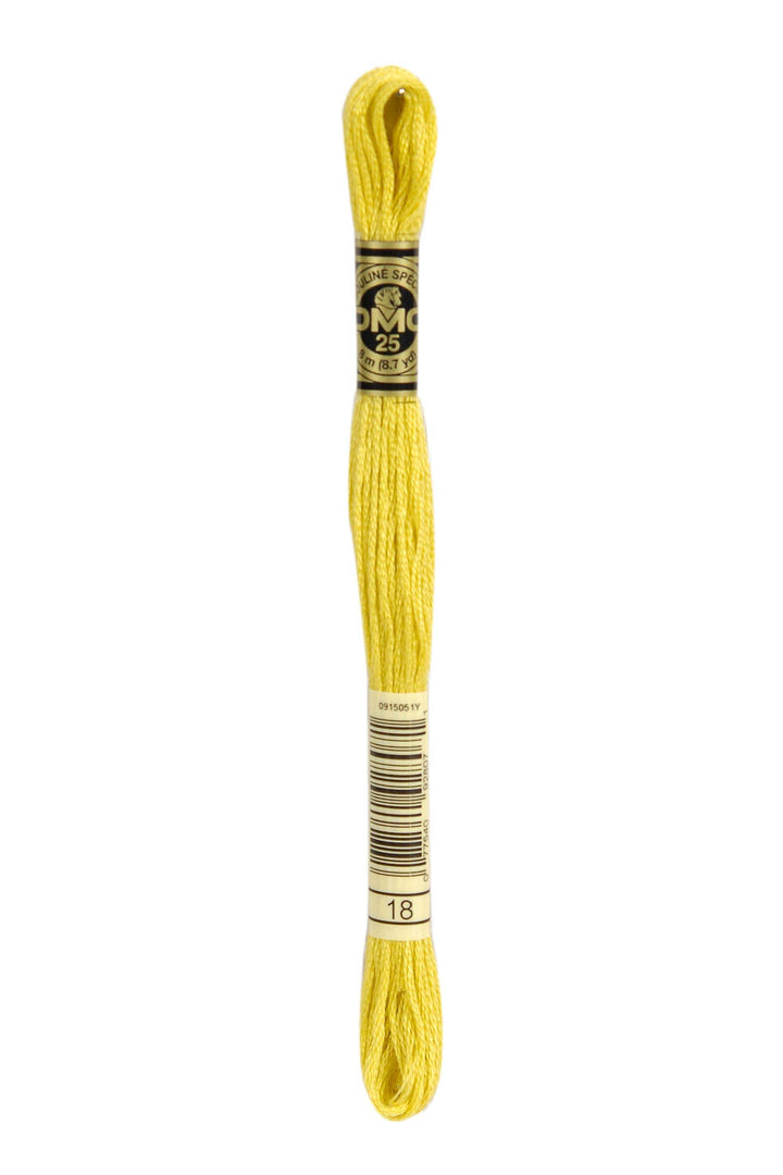 Mouliné Spécial 117MC GIALLO - DMC - - LacariaRicami.Store