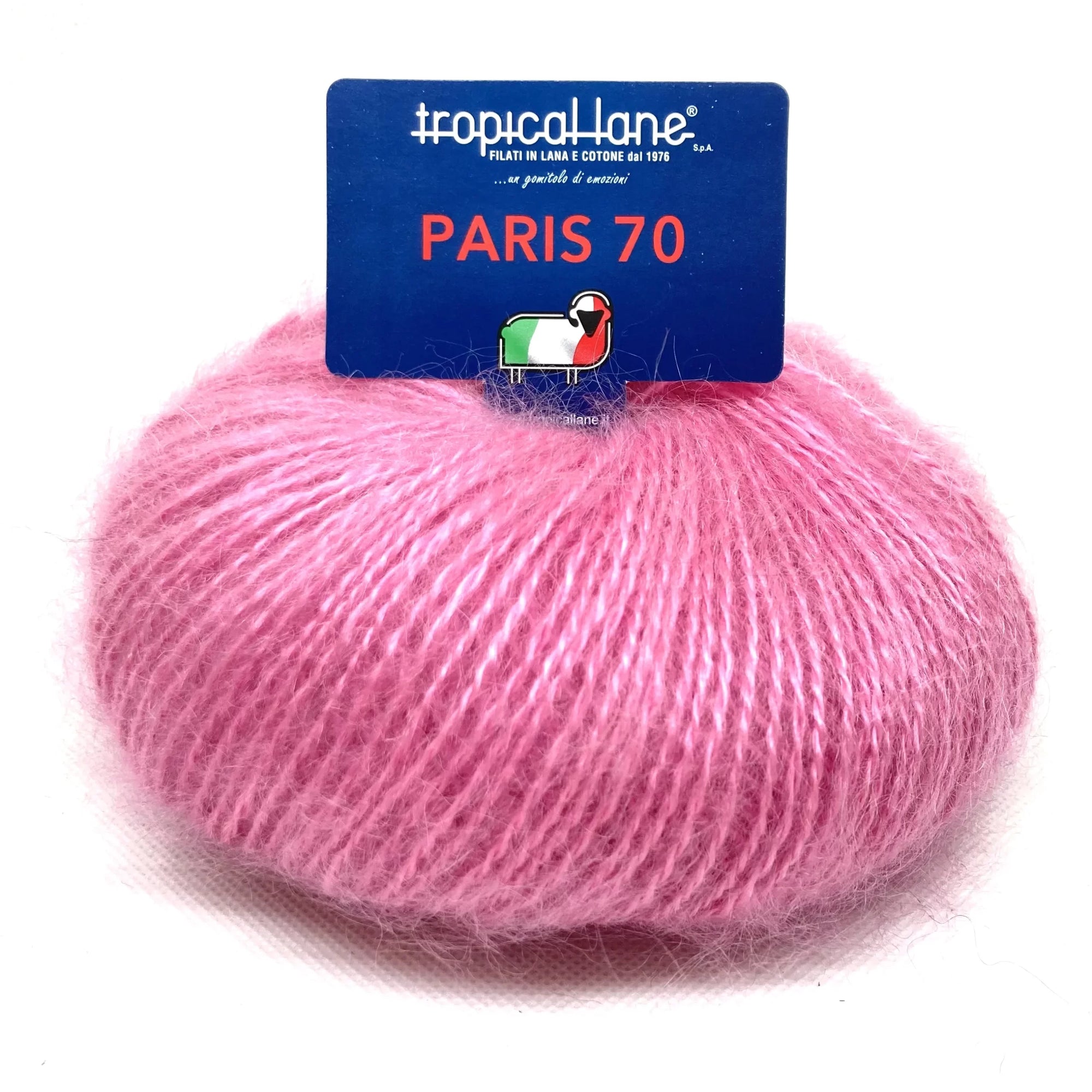 Zoom 334 - ROSA
