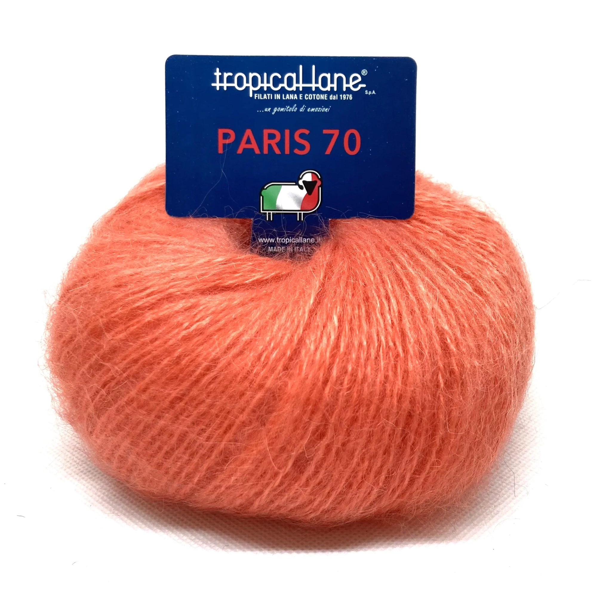 Zoom 40 - SALMONE