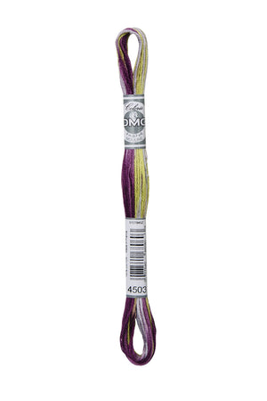 Mouliné Coloris REF.517 - DMC - Colore: 4503 - by LacariaRicami.Store