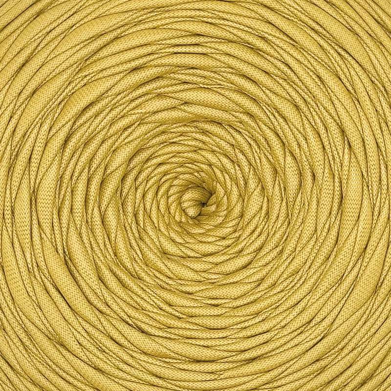 Zoom 607 - SENAPE