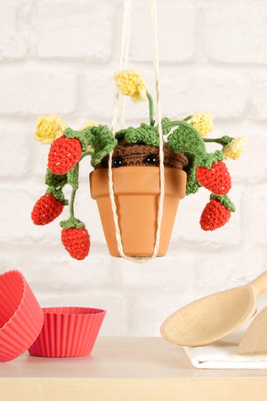 KIT Amigurumi FRAGOLE ESTIVE di Nuria Picos - DMC - - LacariaRicami.Store