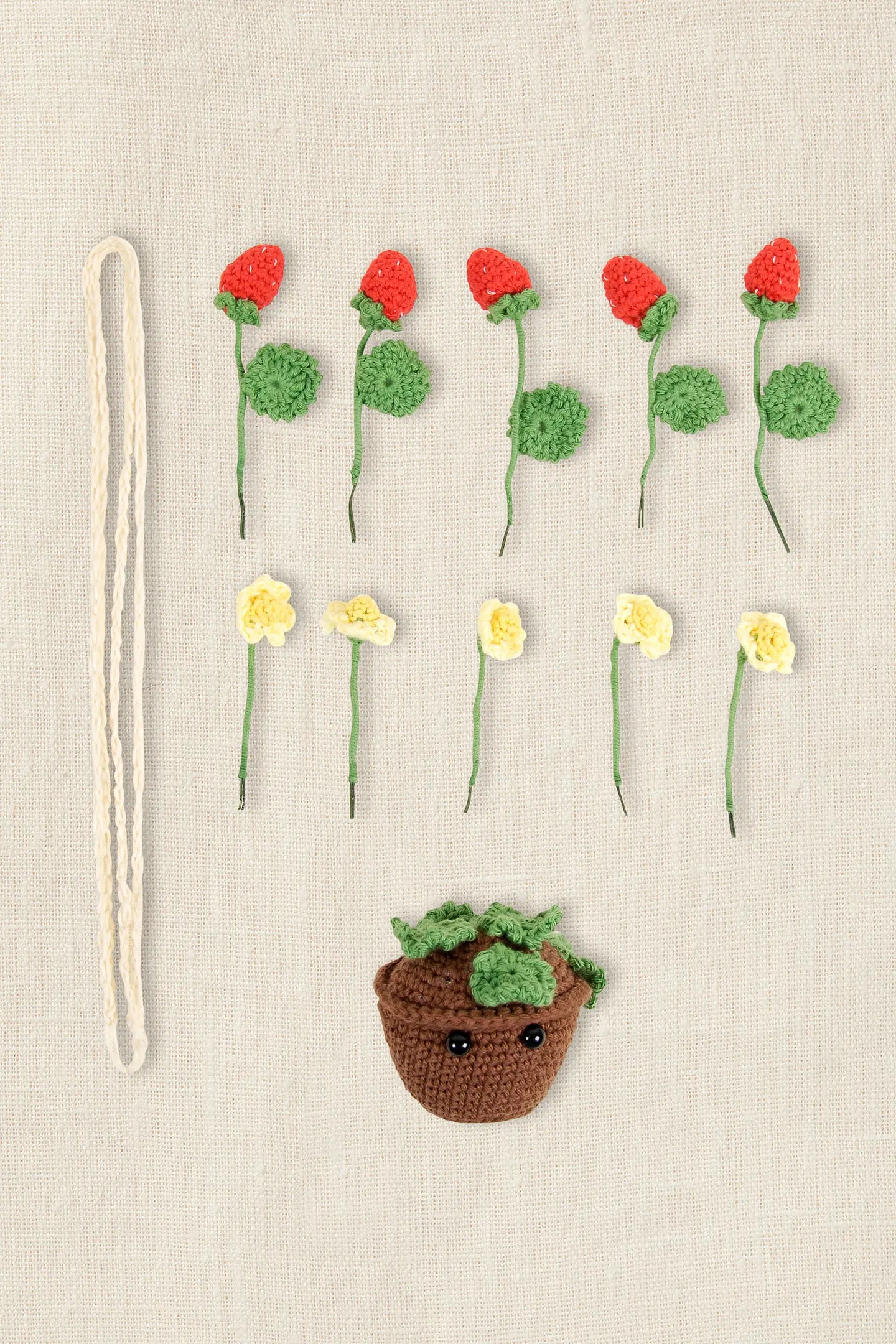 KIT Amigurumi FRAGOLE ESTIVE di Nuria Picos - DMC - - LacariaRicami.Store