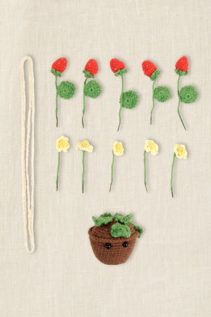 KIT Amigurumi FRAGOLE ESTIVE di Nuria Picos - DMC - - LacariaRicami.Store