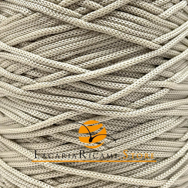 503 - TORTORA