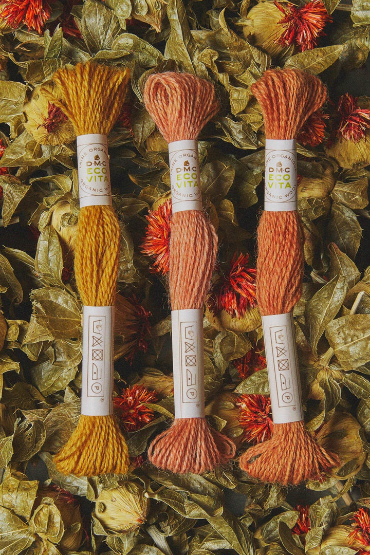 MATASSINE Eco Vita Filato di LANA Organica Con Tinture Naturali - DMC - - LacariaRicami.Store