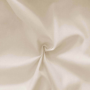 TELA AIDA 45 FORI BASICO F.lli GRAZIANO H cm 180 - PANNA - - LacariaRicami.Store