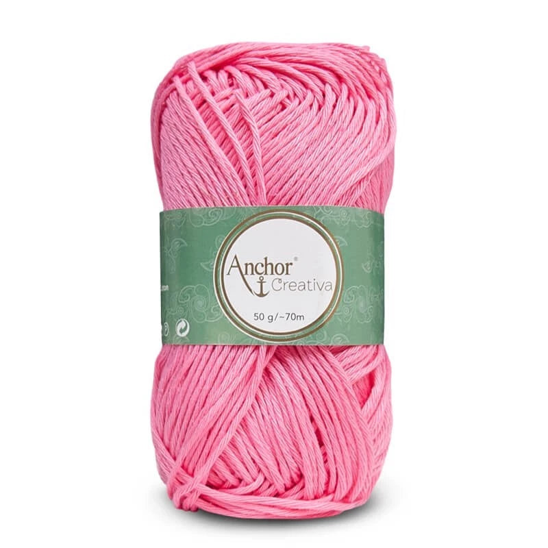 Zoom 0225 - ROSA ACCESO