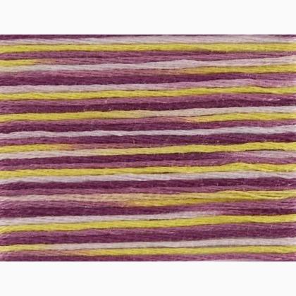 Mouliné Coloris REF.517 - DMC - Colore: - by LacariaRicami.Store