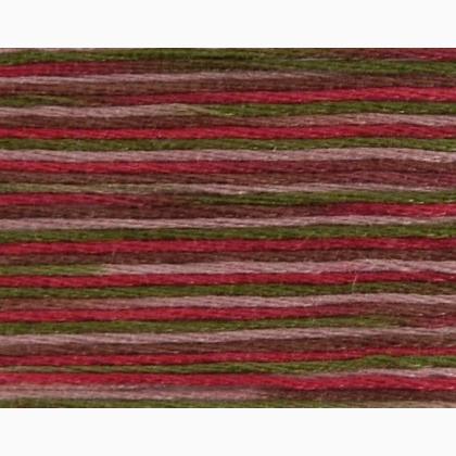 Mouliné Coloris REF.517 - DMC - Colore: - by LacariaRicami.Store