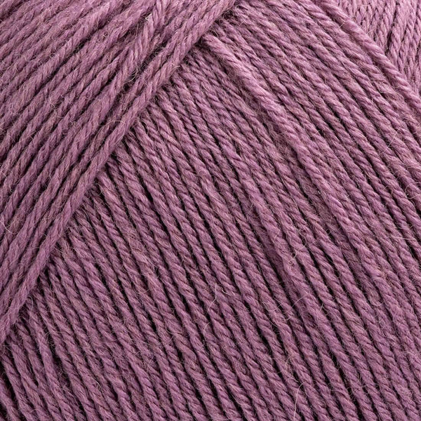 30 - ROSA ANTICO