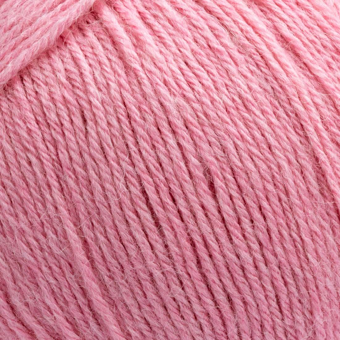 Zoom 2303 - ROSA