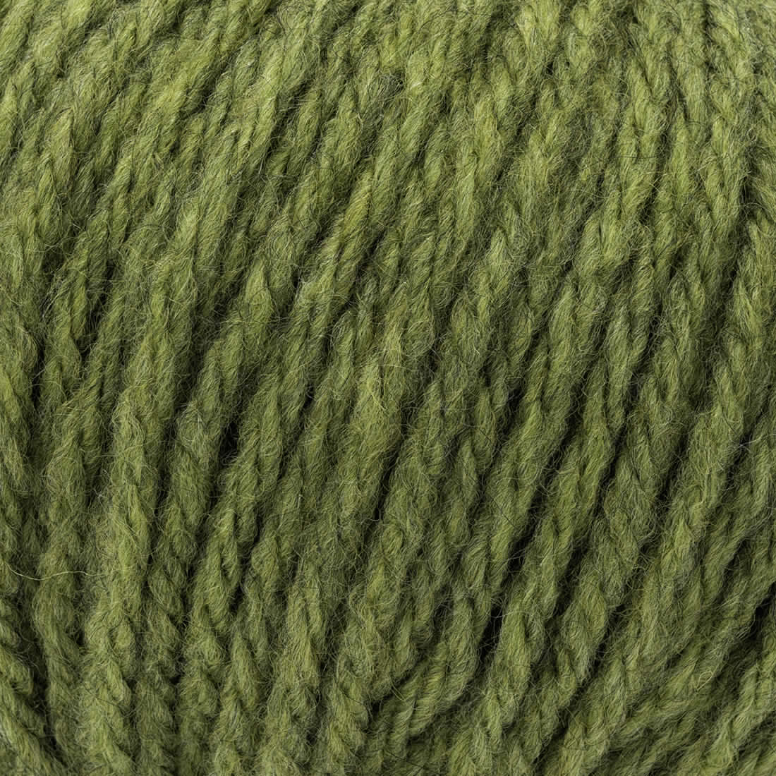 Lana TEPORE - Bertagna Filati - 50 - VERDINO - LacariaRicami.Store