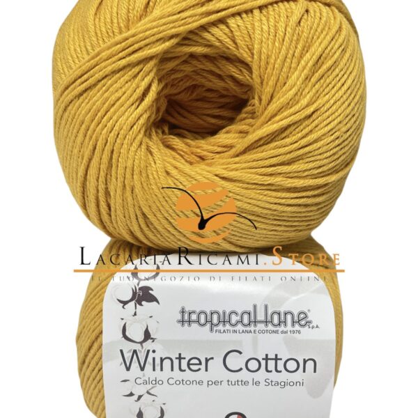 CALDO COTONE Winter Cotton - Tropical Lane - 266 - SENAPE